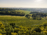 wien-liesing-himmel-herbst-0357.jpg © RWK Wien / www.pov.at