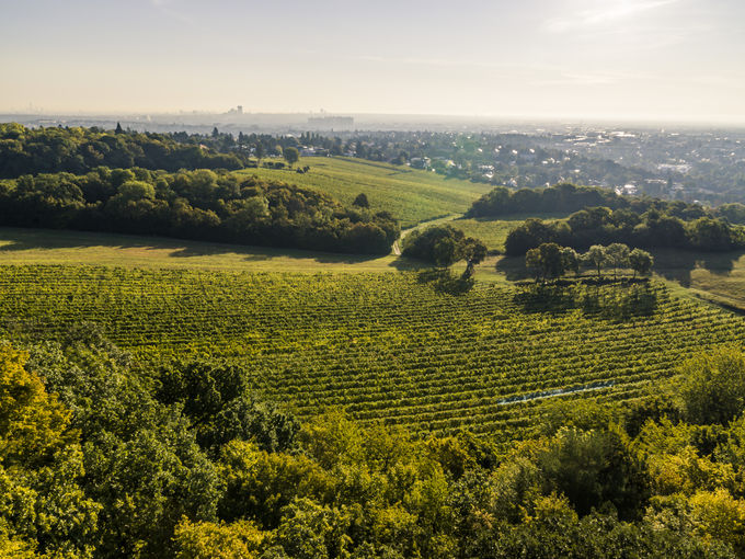 wien-liesing-himmel-herbst-0357.jpg © RWK Wien / www.pov.at