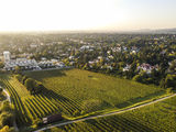 wien-mauer-dürren-herbst-0979.jpg © RWK Wien / www.pov.at