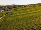 wien-mauer-kadolzberg-herbst-0985.jpg © RWK Wien / www.pov.at