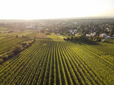 wien-mauer-kadolzberg-herbst-0988.jpg © RWK Wien / www.pov.at