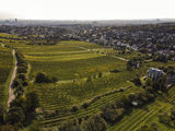 wien-neustift-mitterberg-herbst-0226.jpg © RWK Wien / www.pov.at