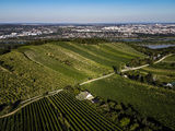 wien-nussberg-burgstall-herbst-0943.jpg © RWK Wien / www.pov.at