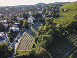 wien-nussberg-dennen-herbst-0968.jpg © RWK Wien / www.pov.at