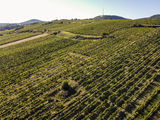 wien-nussberg-golin-herbst-0957.jpg © RWK Wien / www.pov.at