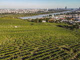 wien-nussberg-golin-herbst-0959.jpg © RWK Wien / www.pov.at