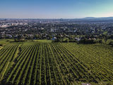 wien-nussberg-preussen-herbst-0937.jpg © RWK Wien / www.pov.at