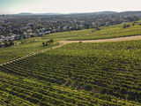 wien-nussberg-rosengartel-herbst-0958.jpg © RWK Wien / www.pov.at