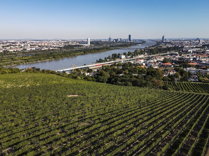 wien-nussberg-ulm-herbst-0949.jpg © RWK Wien / www.pov.at