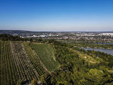 wien-nussberg-zither-herbst-0944.jpg © RWK Wien / www.pov.at