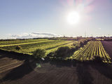 wien-oberlaa-johannespointen-herbst-0166.jpg © RWK Wien / www.pov.at