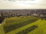 wien-obersievering-hackenberg-herbst-0256.jpg © RWK Wien / www.pov.at