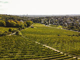 wien-obersievering-reissern-herbst-0243.jpg © RWK Wien / www.pov.at