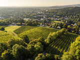 wien-rodaun-reisberg-herbst-0359.jpg © RWK Wien / www.pov.at