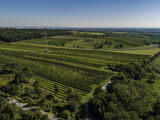 wien--stammersdorf-gabrissen-herbst-0896.jpg © RWK Wien / www.pov.at