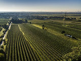 wien--stammersdorf-gernen-herbst-0894.jpg © RWK Wien / www.pov.at