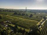 wien--stammersdorf-gritschen-herbst-0893.jpg © RWK Wien / www.pov.at