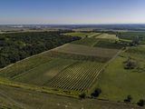 wien--stammersdorf-herrnholz-herbst-0899.jpg © RWK Wien / www.pov.at