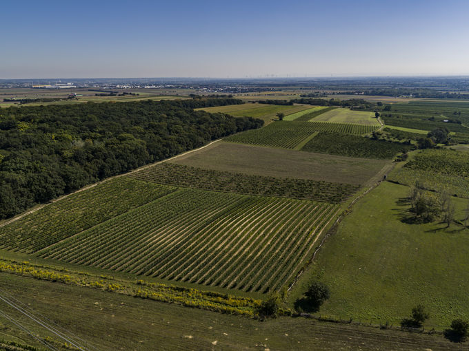 wien--stammersdorf-herrnholz-herbst-0899.jpg © RWK Wien / www.pov.at