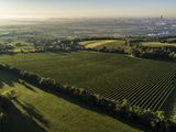 wien--stammersdorf-hofbreiten-herbst-0862.jpg © RWK Wien / www.pov.at