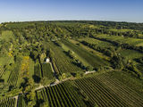 wien--stammersdorf-jungenberg-herbst-0891.jpg © RWK Wien / www.pov.at