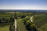 wien--stammersdorf-kirchberg-herbst-0075.jpg © RWK Wien / www.pov.at