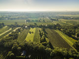 wien--stammersdorf-kreften-herbst-0887.jpg © RWK Wien / www.pov.at