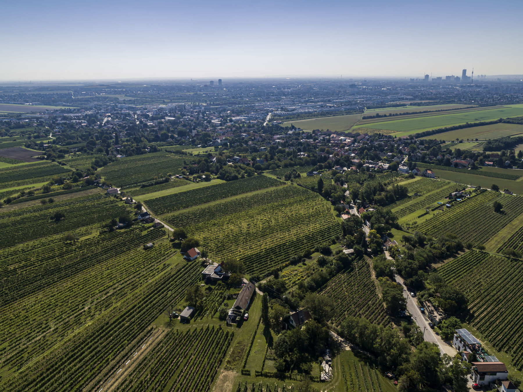 wien--stammersdorf-neusätzen-herbst-0901.jpg © RWK Wien / www.pov.at