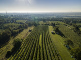 wien--stammersdorf-rothen-herbst-0883.jpg © RWK Wien / www.pov.at