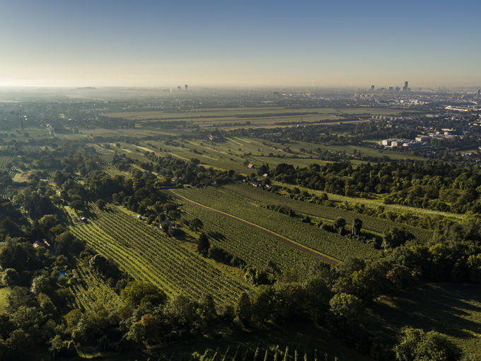 wien--stammersdorf-vorleithen-herbst-0880.jpg © RWK Wien / www.pov.at
