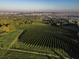 wien-untersievering-bellevue-herbst-0021.jpg © RWK Wien / www.pov.at