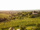 wien-untersievering-kaasgraben-herbst-0082.jpg © RWK Wien / www.pov.at