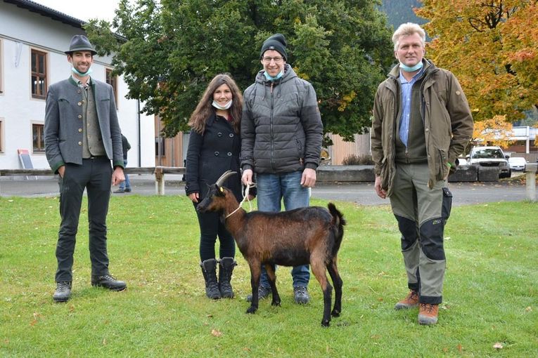 Versteigerung Salzburger Landesverband für Schafe und Ziegen.jpg © Green