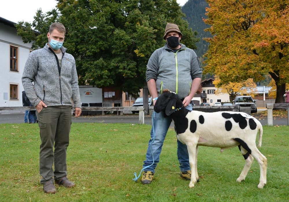 Versteigerung Salzburger Landesverband für Schafe und Ziegen.jpg © Green Versteigerung Salzburger Landesverband für Schafe und Ziegen.jpg © Green