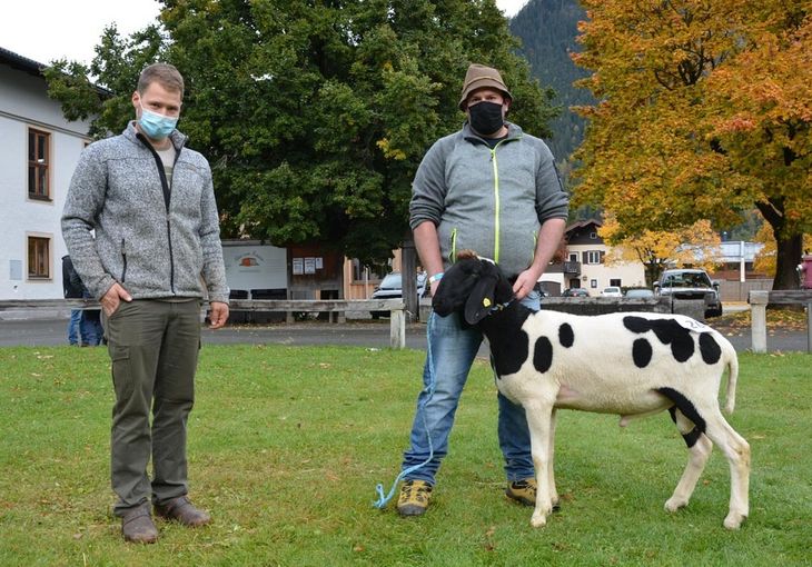 Versteigerung Salzburger Landesverband für Schafe und Ziegen.jpg © Green