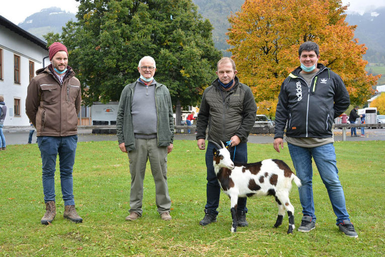 Versteigerung Salzburger Landesverband für Schafe und Ziegen.jpg © Green