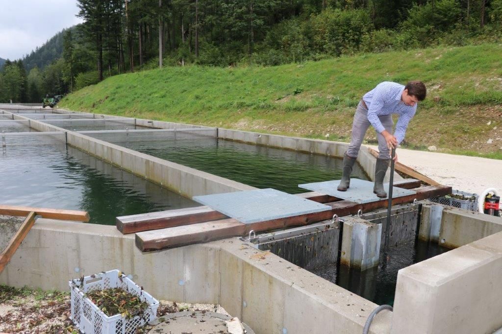 Vor der Durchflussanlage hält ein Gitter Äste und Laub zurück. Christian muss es täglich reinigen. © Paula Pöchlauer-Kozel/LK Niederösterreich