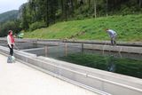 © Paula Pöchlauer-Kozel/LK Niederösterreich © Paula Pöchlauer-Kozel/LK Niederösterreich