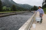 © Paula Pöchlauer-Kozel/LK Niederösterreich © Paula Pöchlauer-Kozel/LK Niederösterreich