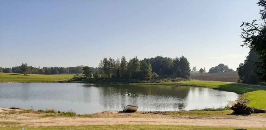 Hofbauer Teich fertiggestellt.jpg © BAW-ÖKO Hofbauer Teich fertiggestellt.jpg © BAW-ÖKO