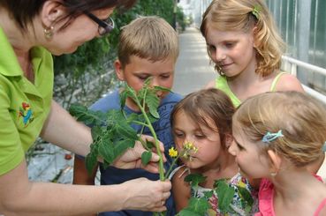 Schule am Bauernhof.jpg © Greencare© LK Wien