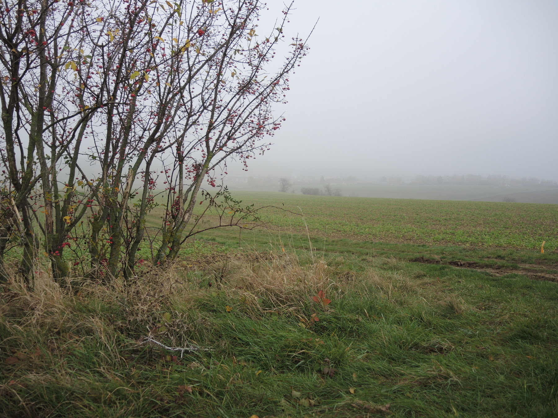 © Andrea Uhl LK NÖ © Andrea Uhl LK NÖ