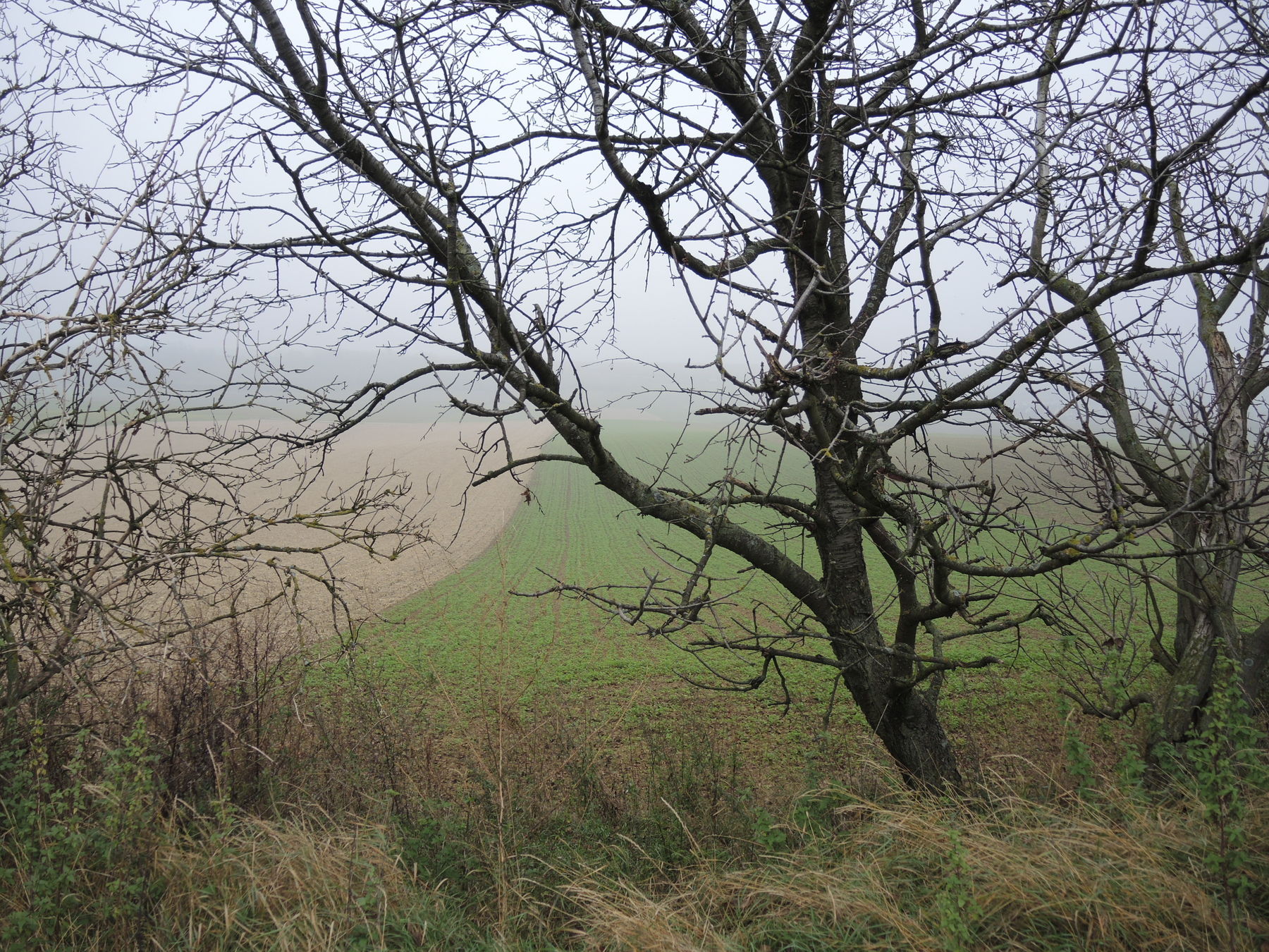 © Andrea Uhl LK NÖ © Andrea Uhl LK NÖ