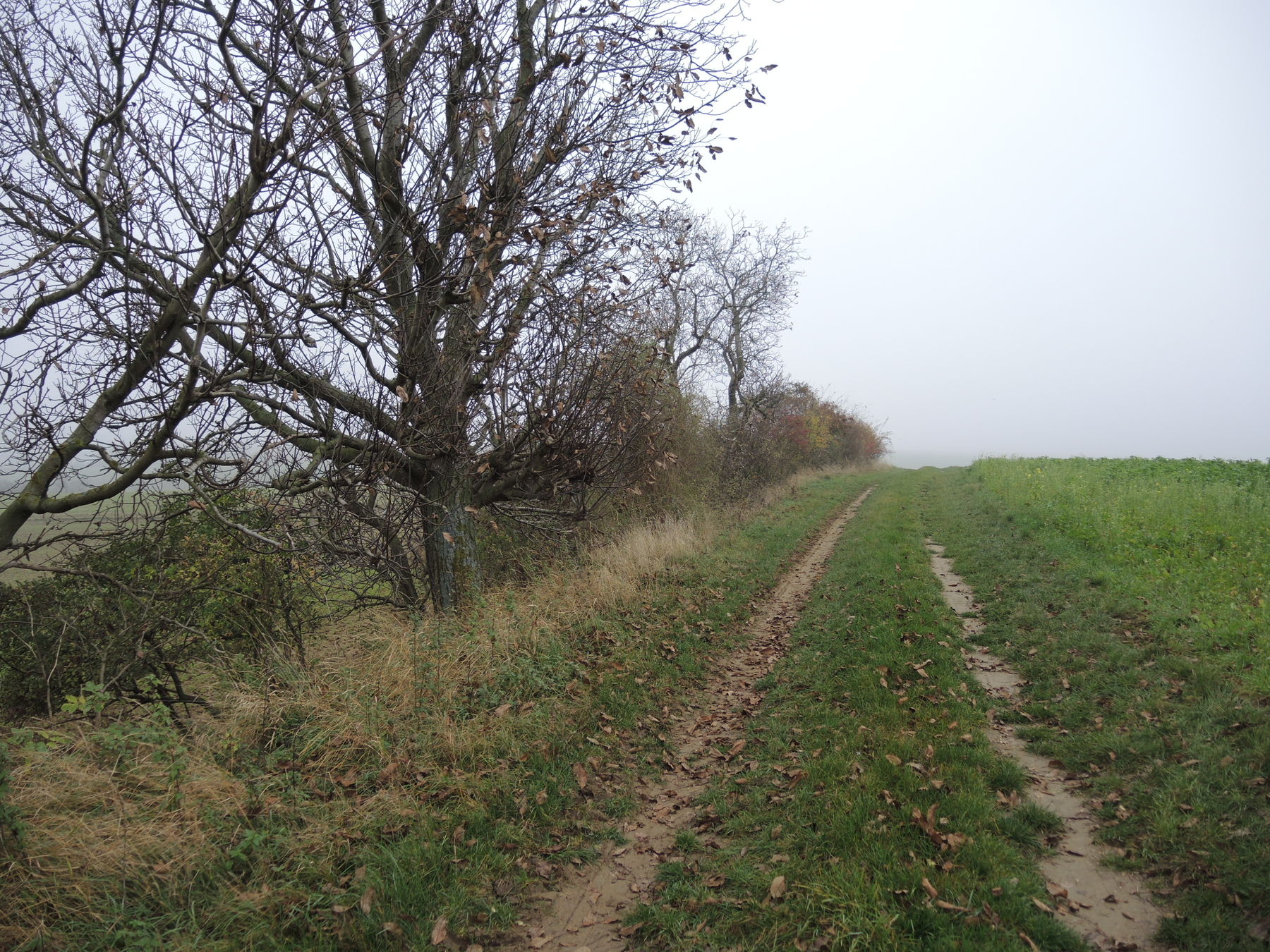 © Andrea Uhl LK NÖ © Andrea Uhl LK NÖ