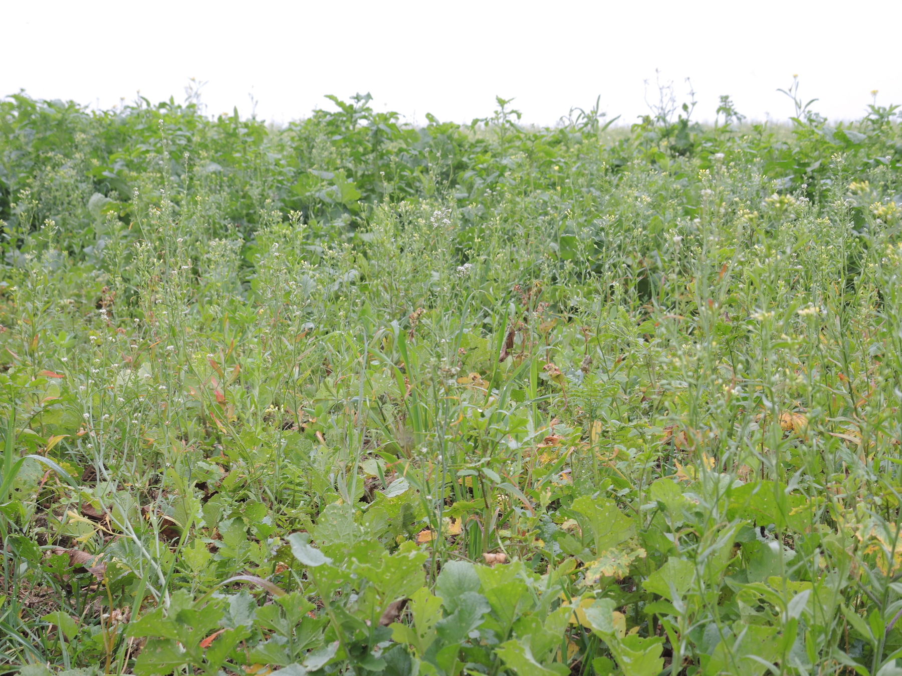 © Andrea Uhl LK NÖ © Andrea Uhl LK NÖ