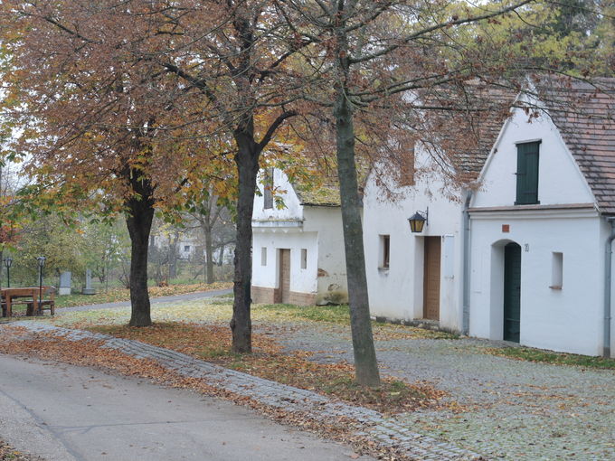 2020 Herbstliches © Andrea Uhl LK NÖ (9).jpg © Andrea Uhl LK NÖ