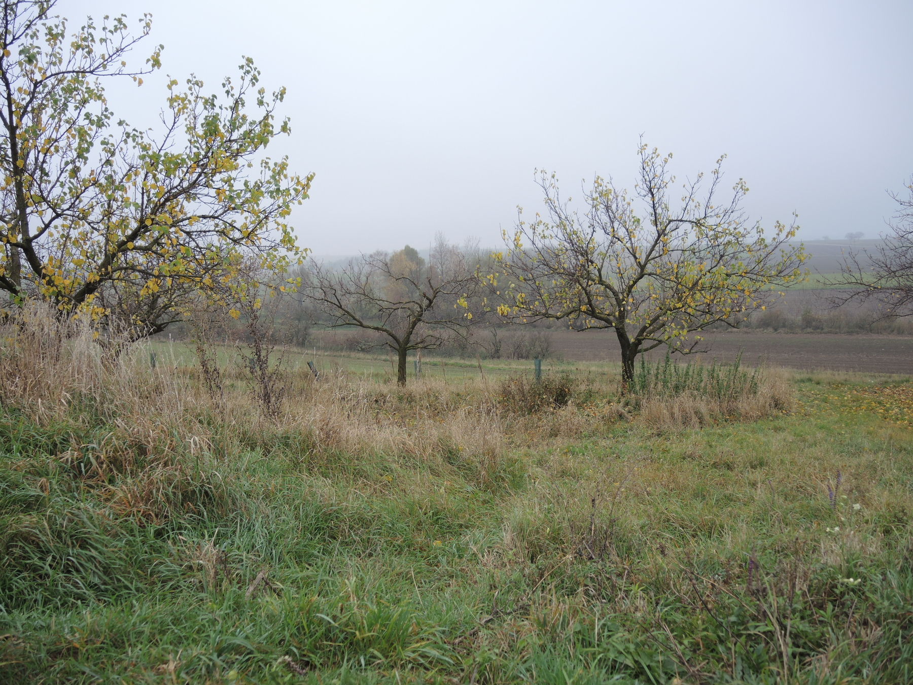 © Andrea Uhl LK NÖ © Andrea Uhl LK NÖ