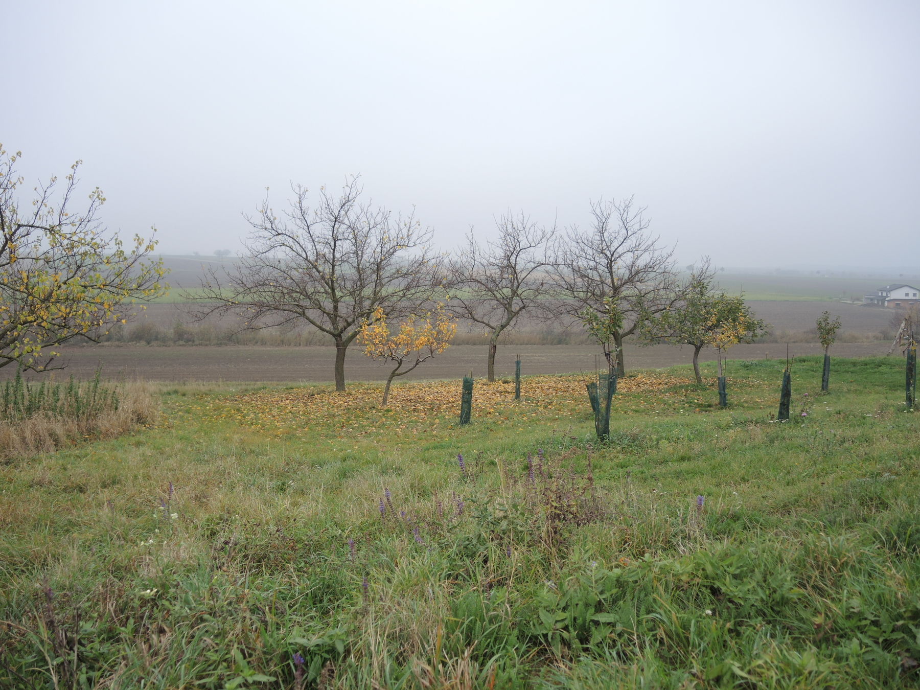 © Andrea Uhl LK NÖ © Andrea Uhl LK NÖ