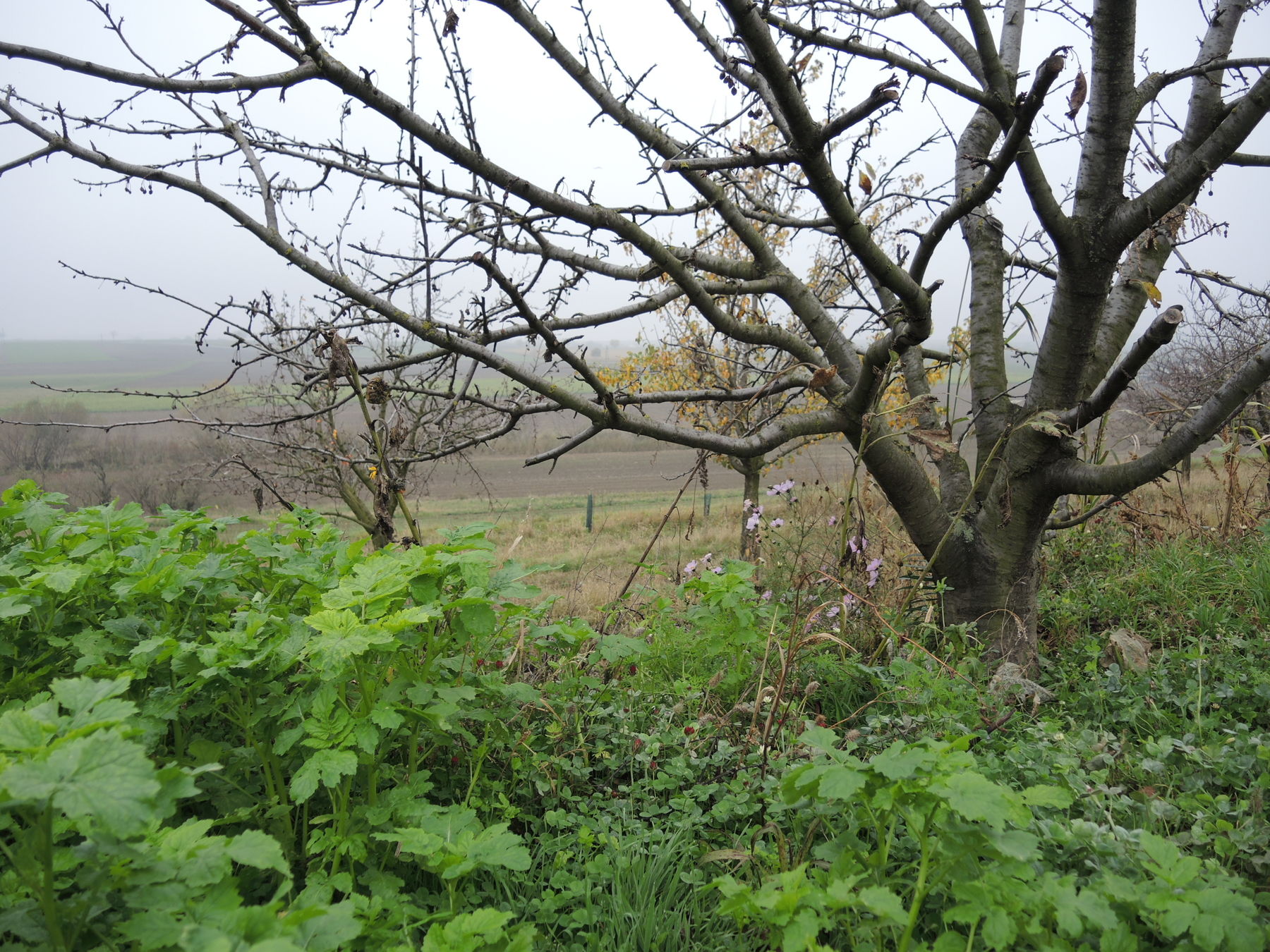 © Andrea Uhl LK NÖ © Andrea Uhl LK NÖ