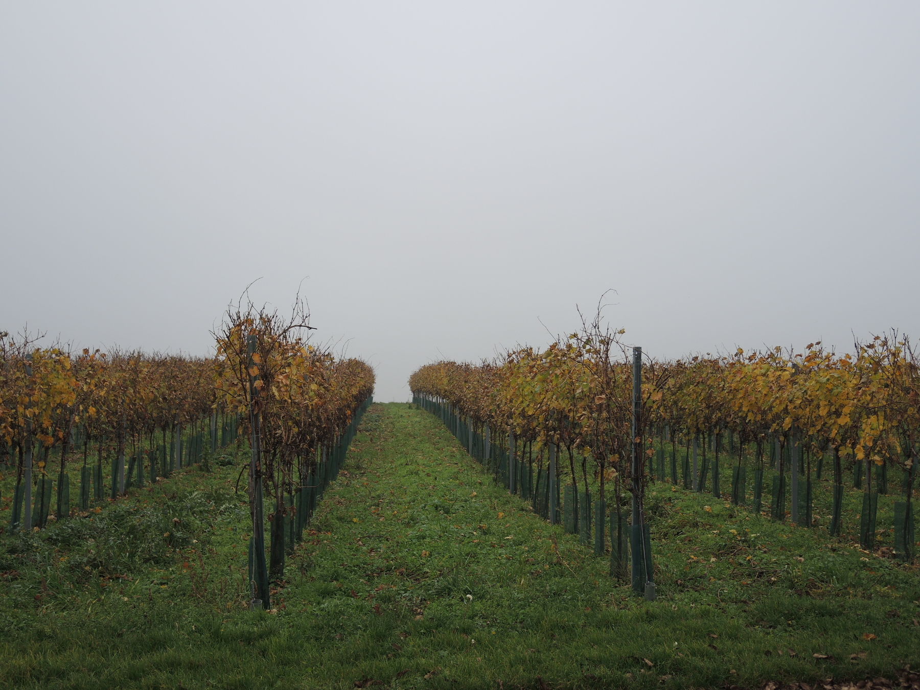 © Andrea Uhl LK NÖ © Andrea Uhl LK NÖ